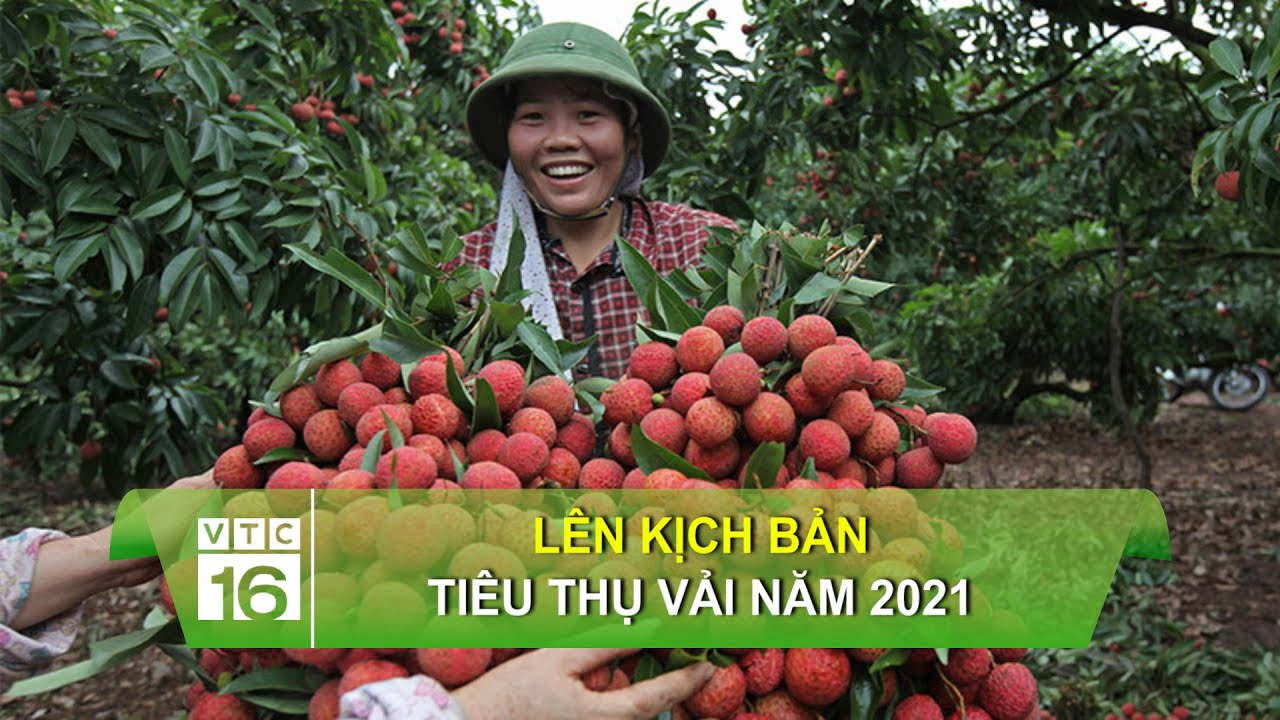 Top 10 trường THPT dễ trúng tuyển lớp 10 nhất TP.HCM năm 2025_Cộng đồng khởi nghiệp
