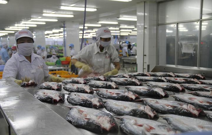 Từ 3 kiểu giày 