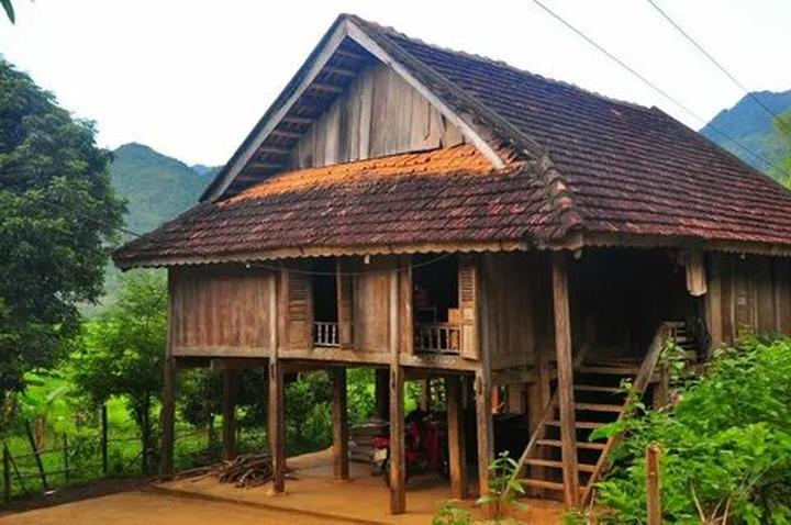 Xu hướng Loại cá được khen 