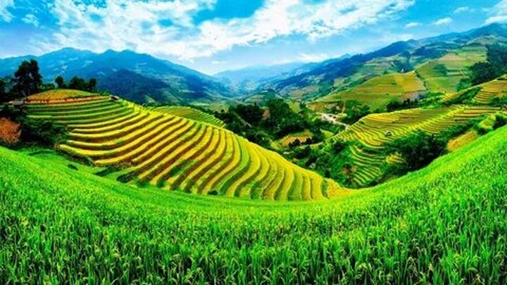 Câu chuyện cậu bé họ Huỳnh ở Uông Bí và hành trình đổi đời cùng Hotspot Matrix